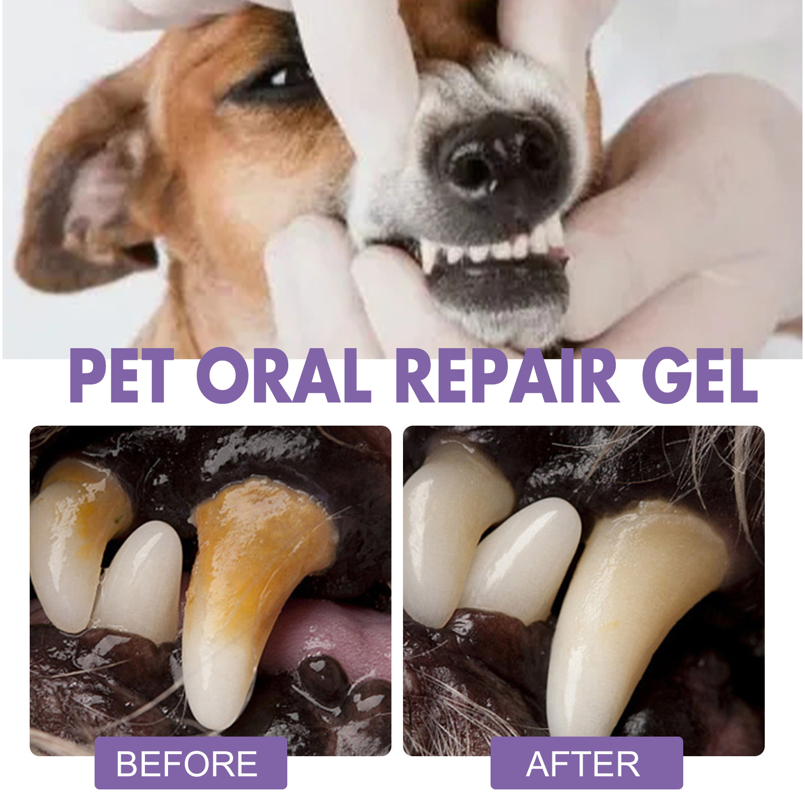 Pet Oral Repair Gel Puppy Tart - Teeth Whitening Hydrogen Peroxide 评论和价格