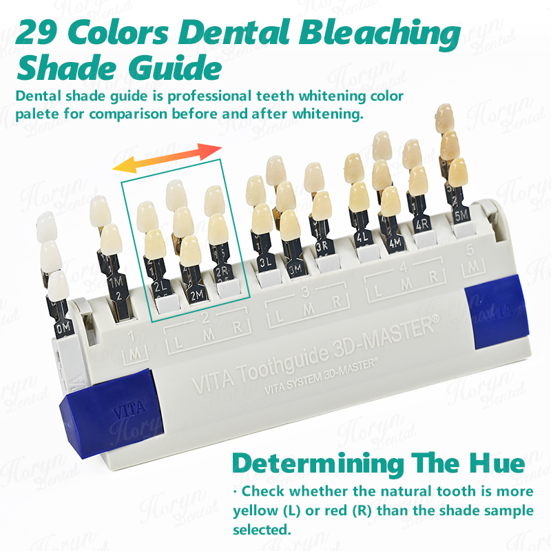 Vita 3D Master Dental Lab Blea - Teeth Whitening Bleach 评论和价格