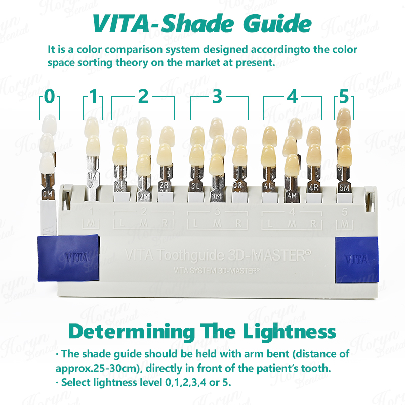 Vita 3D Master Dental Lab Blea - Teeth Whitening Bleach 评论和价格